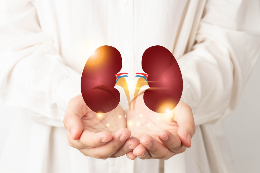 Ayurvedic Treatment For Kidney Stone Maharishi Ayurveda